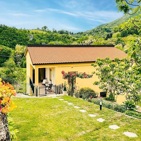 הוילה Venarotta Il Tuo Casale Tra Le Colline - Marche House מראה חיצוני תמונה